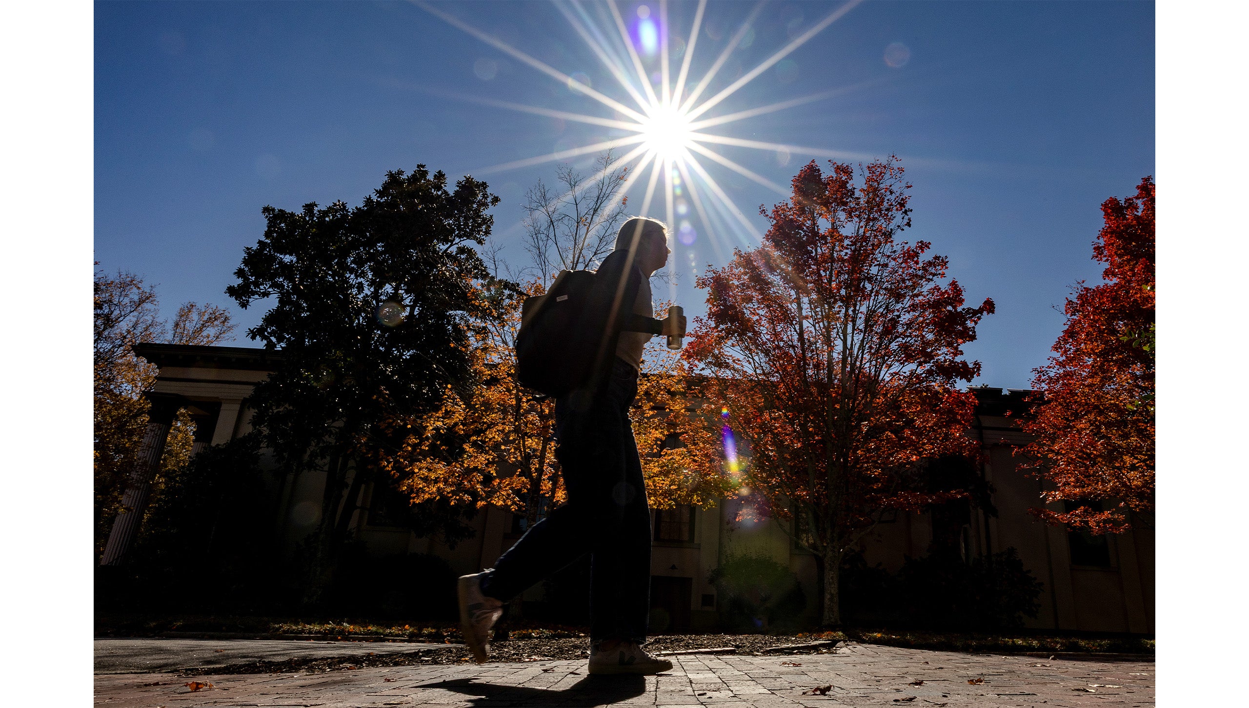 A student walking down a brick pathway on the campus of UNC-Chapel Hill with the sun seen shining in the background along with rows of trees with varying leaf colors.