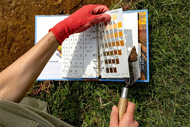 Hands of a woman holding a small shovel and also holding a chart about color density of material.