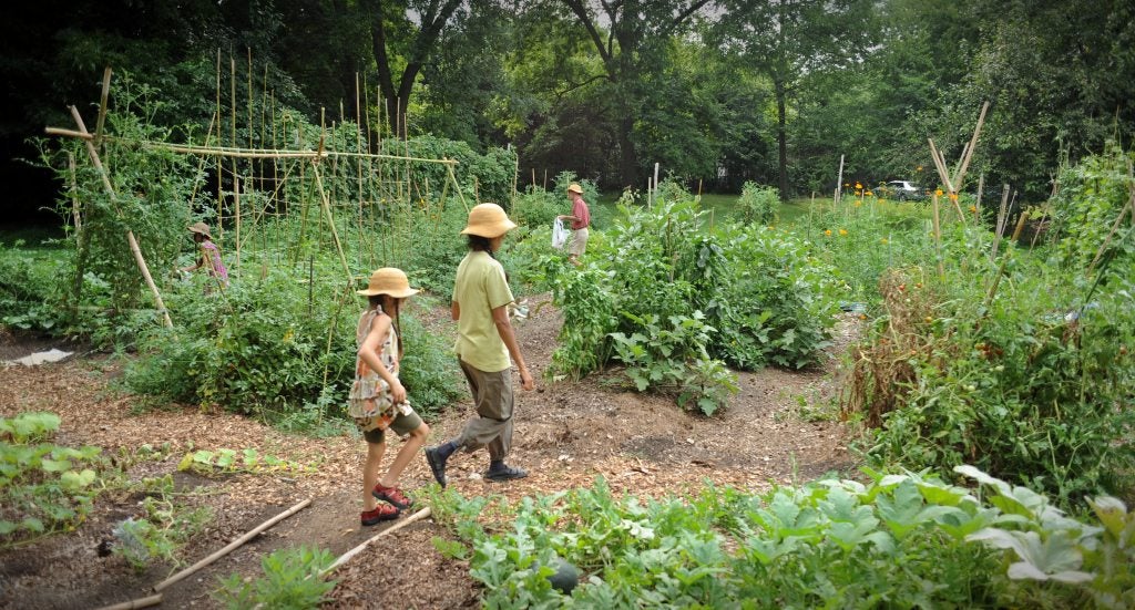Three people at the Carolina Community Garden.