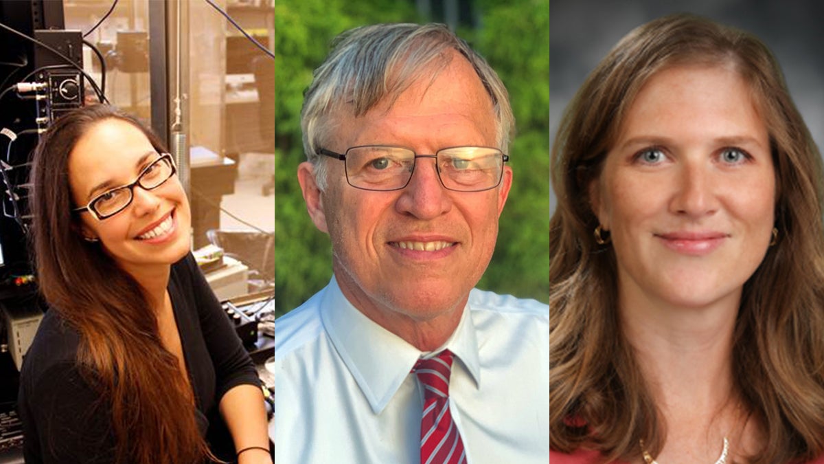 Graphic of three researchers headshots edited together.