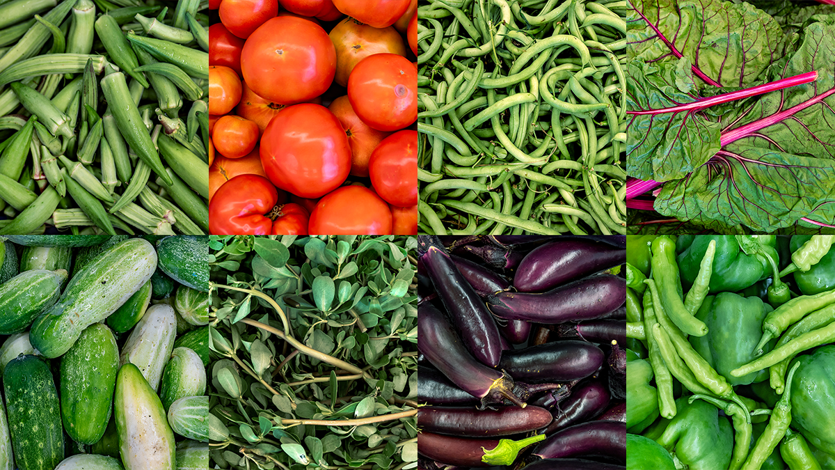 Freshly harvested vegetables from the Carolina Community Garden.