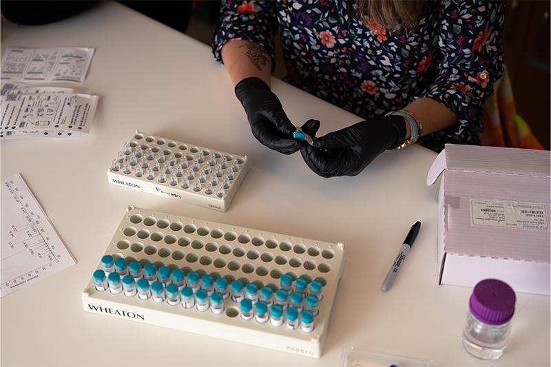 A person in a lab tests drug samples.